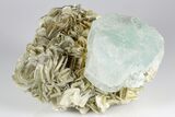 Wide Aquamarine Crystal On Muscovite Matrix - Pakistan #93520-1
